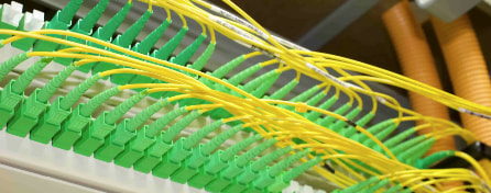 From Concept to 75,000 Cables per Year